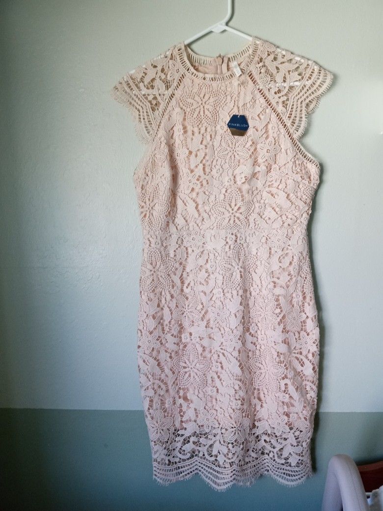 Pink Blush Cream Lace Dress