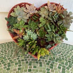 Heart Form Planter With Succulent Plants 