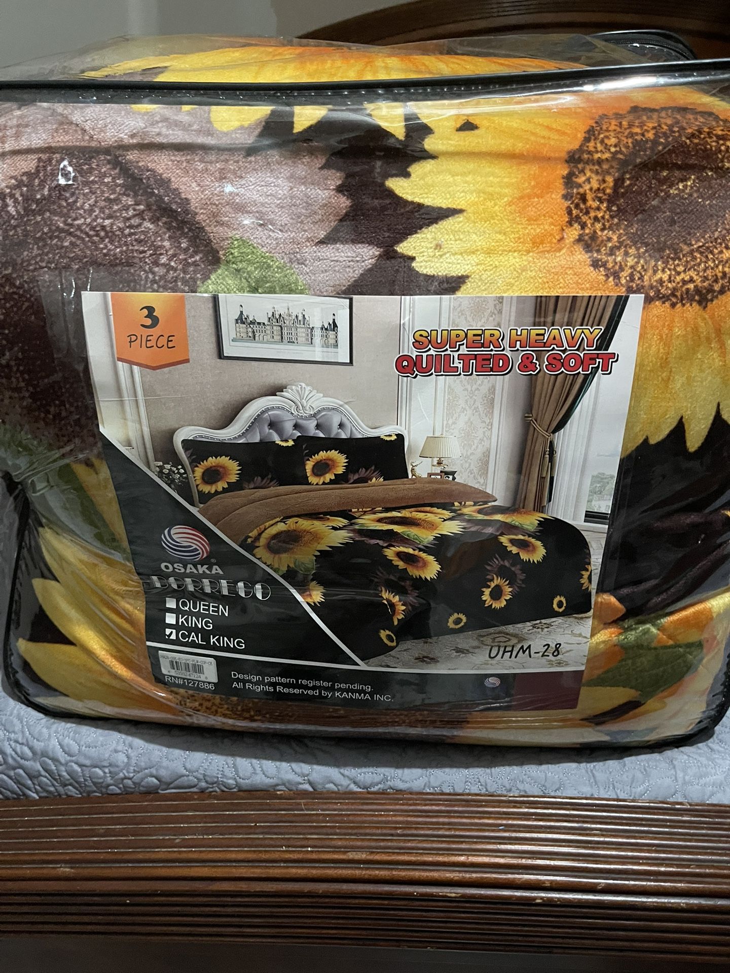 New Blanket Sunflower 🌻