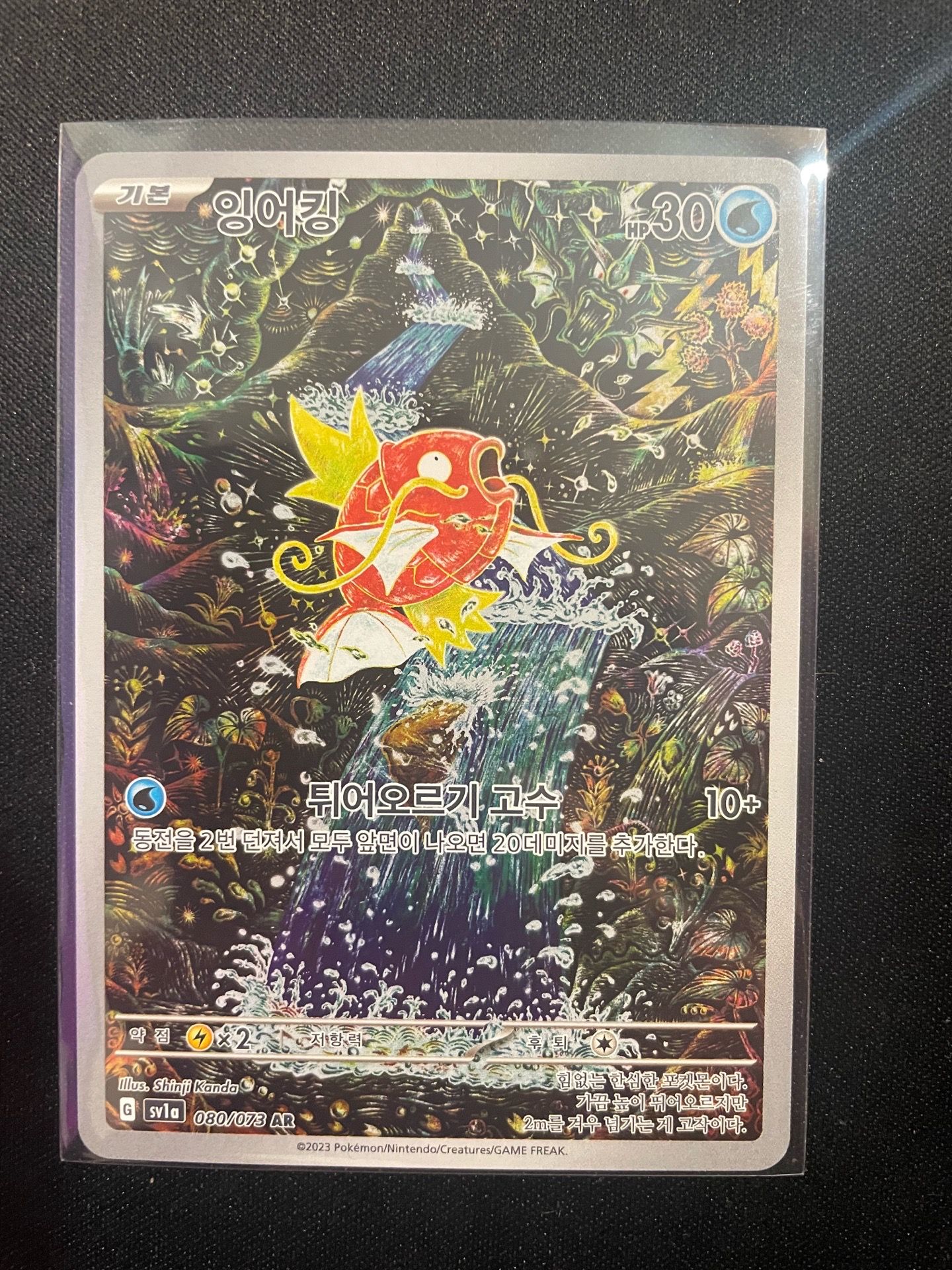 Pokemon Magikarp #080 AR (Korean)