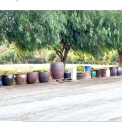 POTS POTS POTS!!!