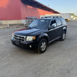 2010 Ford Escape