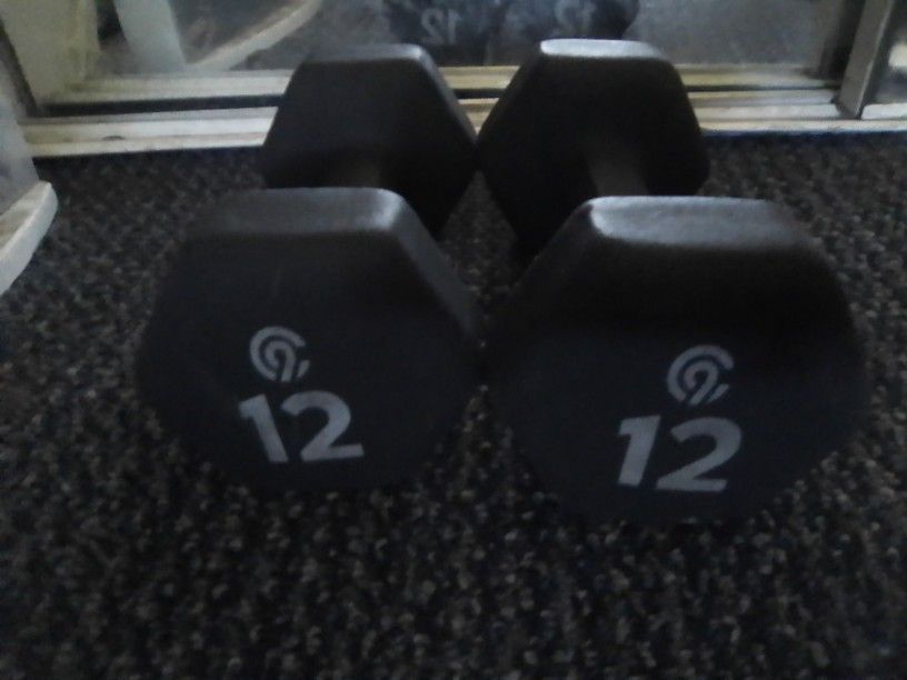 12 Pound Dumbbells 