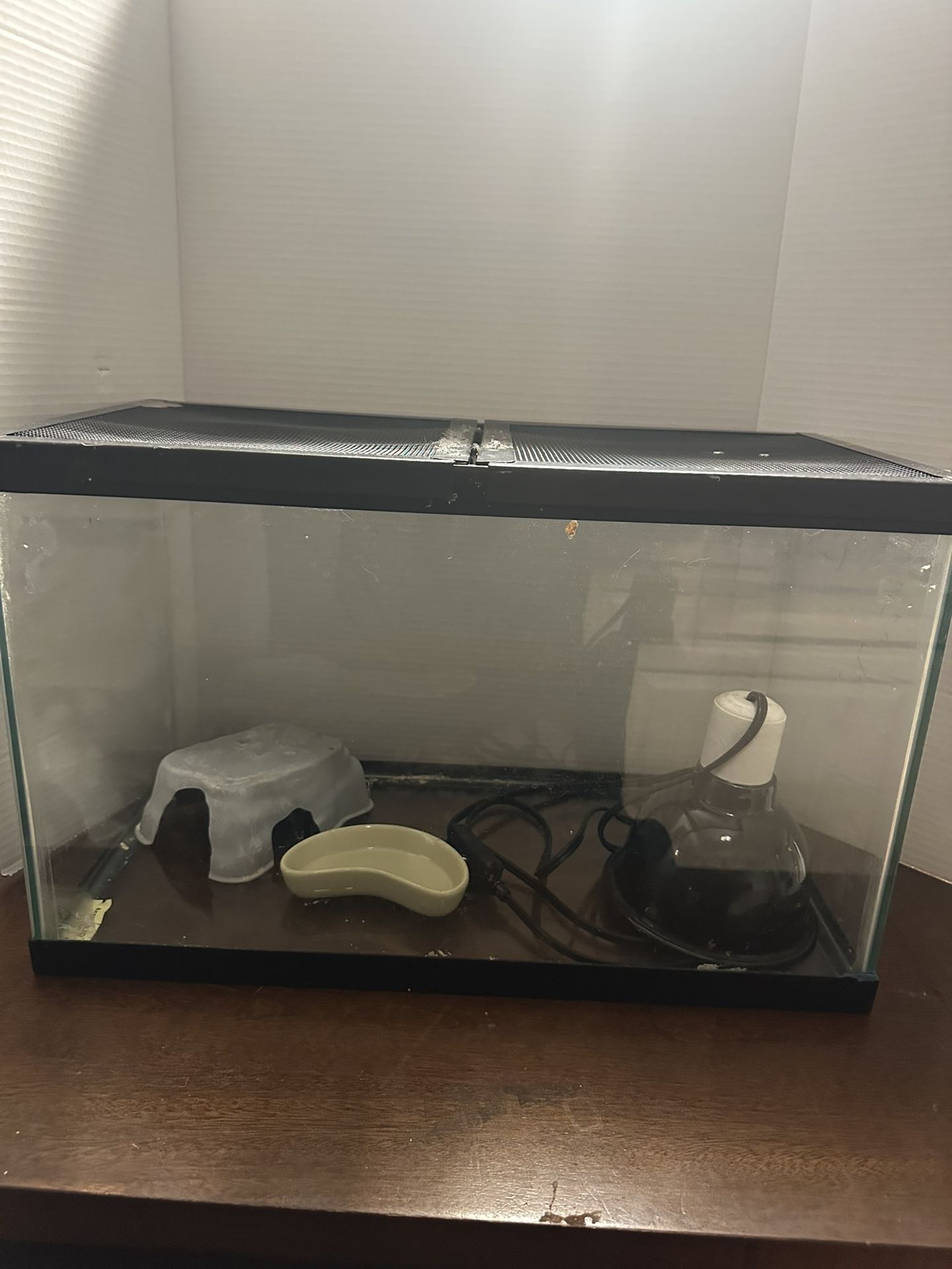 Small Lizard Tank