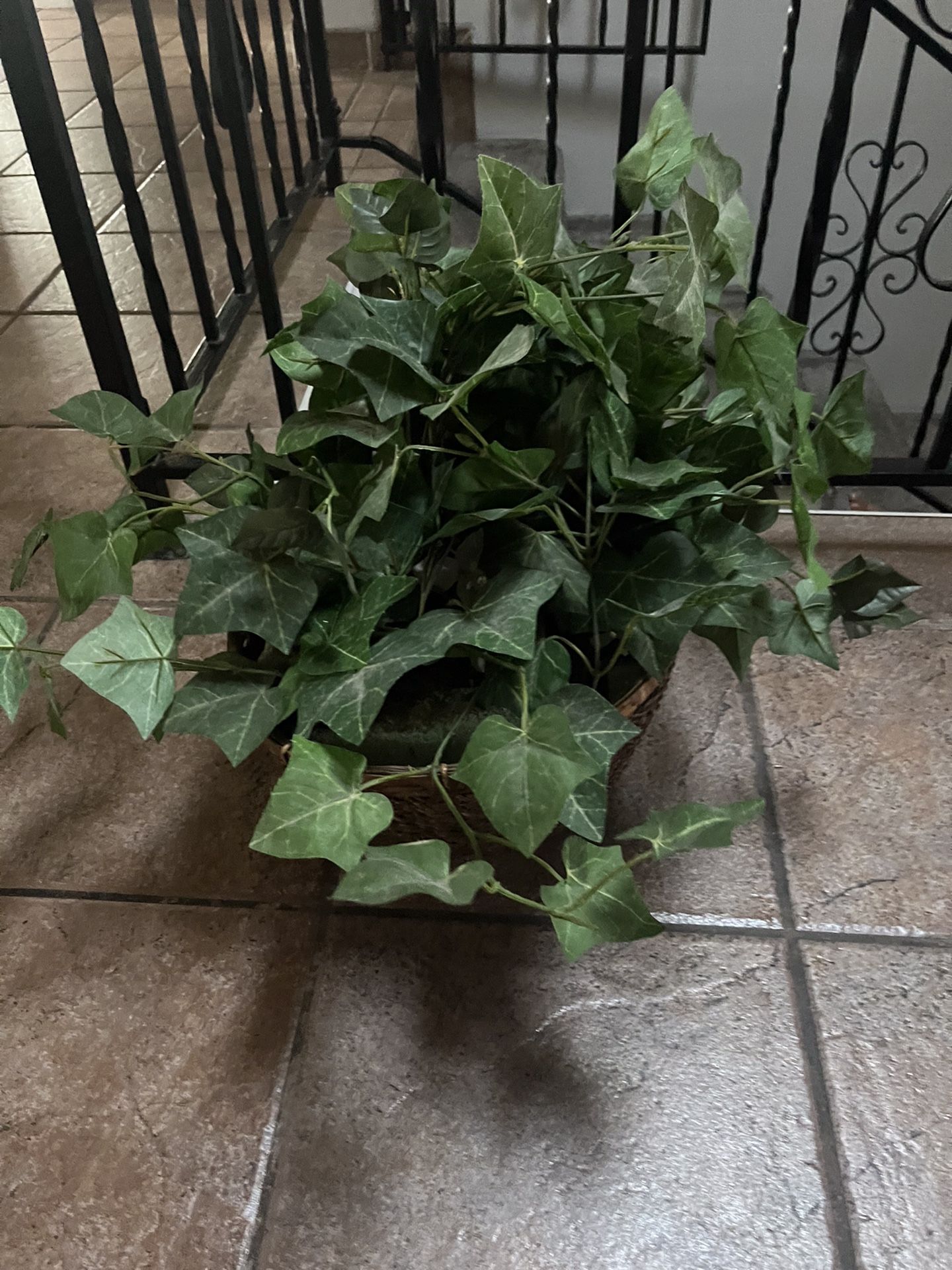 Fake Plant Artificial Plant