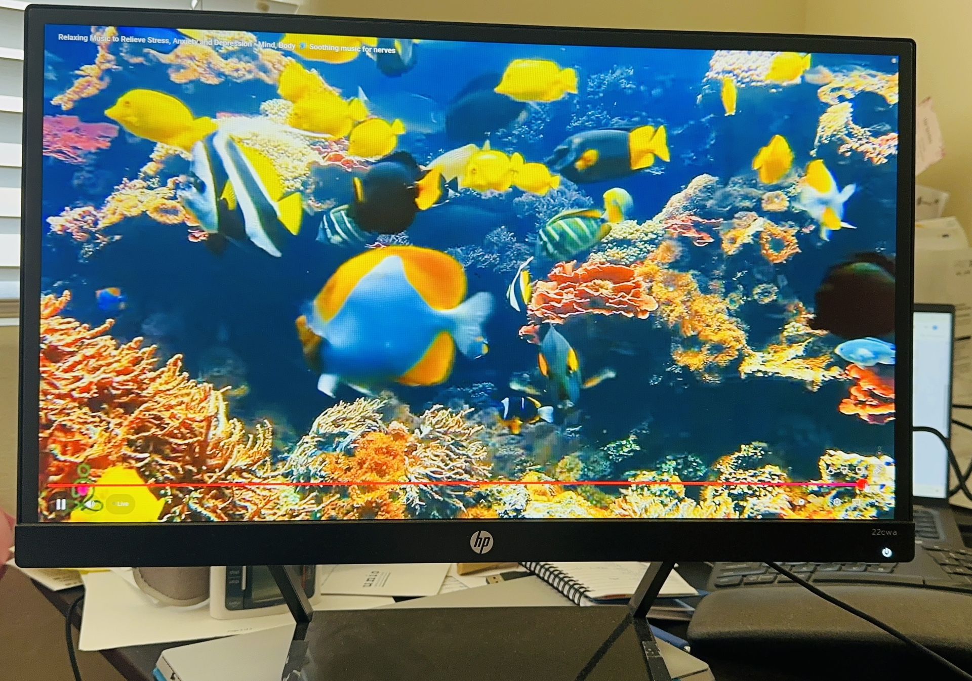 Pavilion 22cwa 21.5-inch IPS LED Backlit Monitor, pick up in Temple city