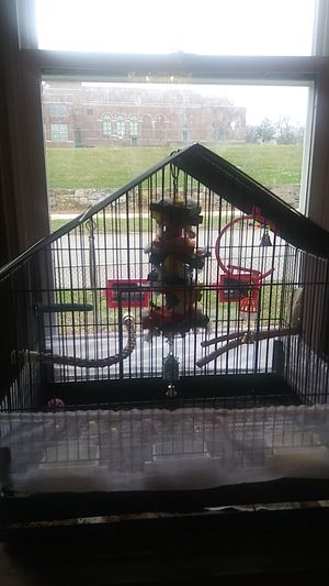 Photo Medium-sized bird cage with exrtas