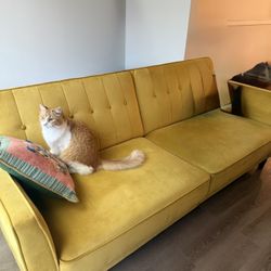 Mustard Velvet Couch - Futon Bed