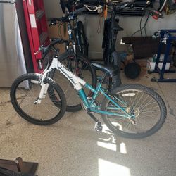 Girls Diamondback Tess 24