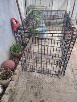 Big cage