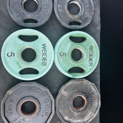 Various Weights/ Dumbbells
