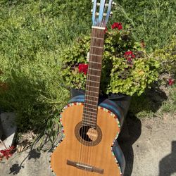 Acoustic Classic Guitar 🎸 