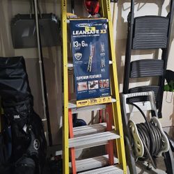 Werner Leansafe X3 Ladder
