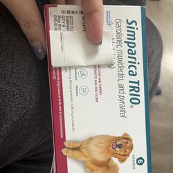 4 Doses Simparica Trio Chewables 