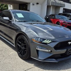 2019 Ford Mustang 