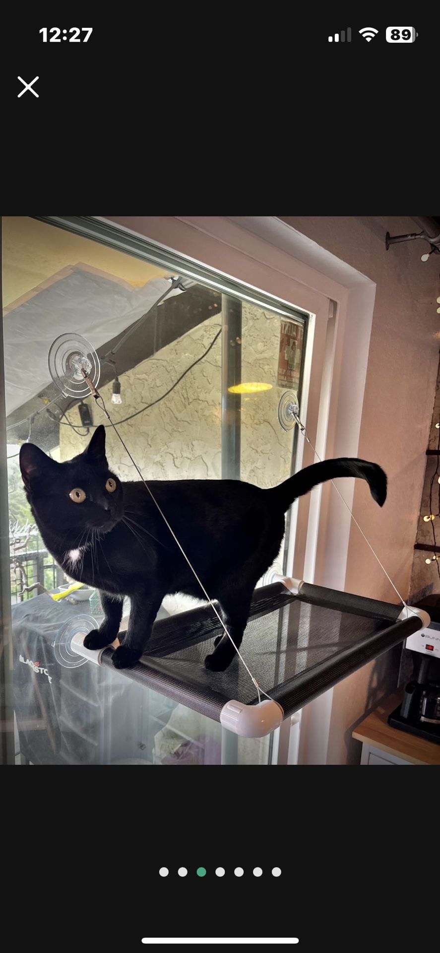 Kitty Cot Cat Perch