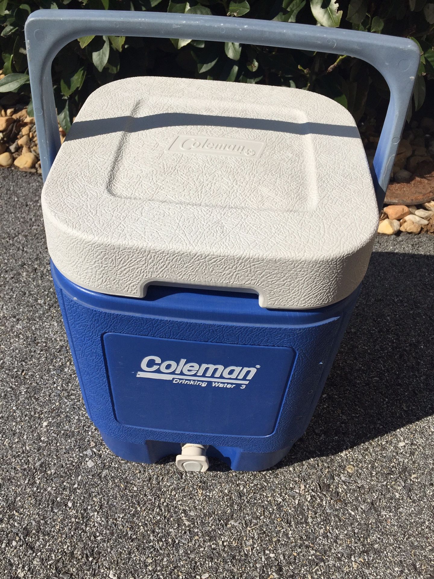 Coleman cooler