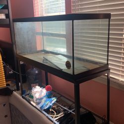 Fish Tank and Stand 