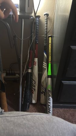 Bats