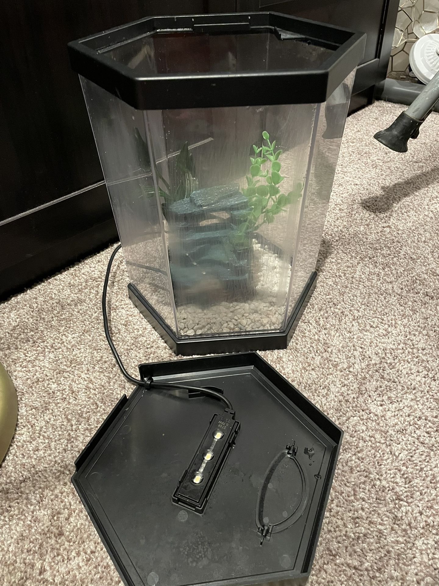 3 Gallon Fish Tank With Gravel And decor