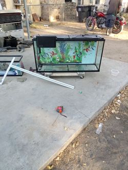 Top fin 55 gallon aquarium loaded
