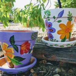Terracotta Hand Painted Pots