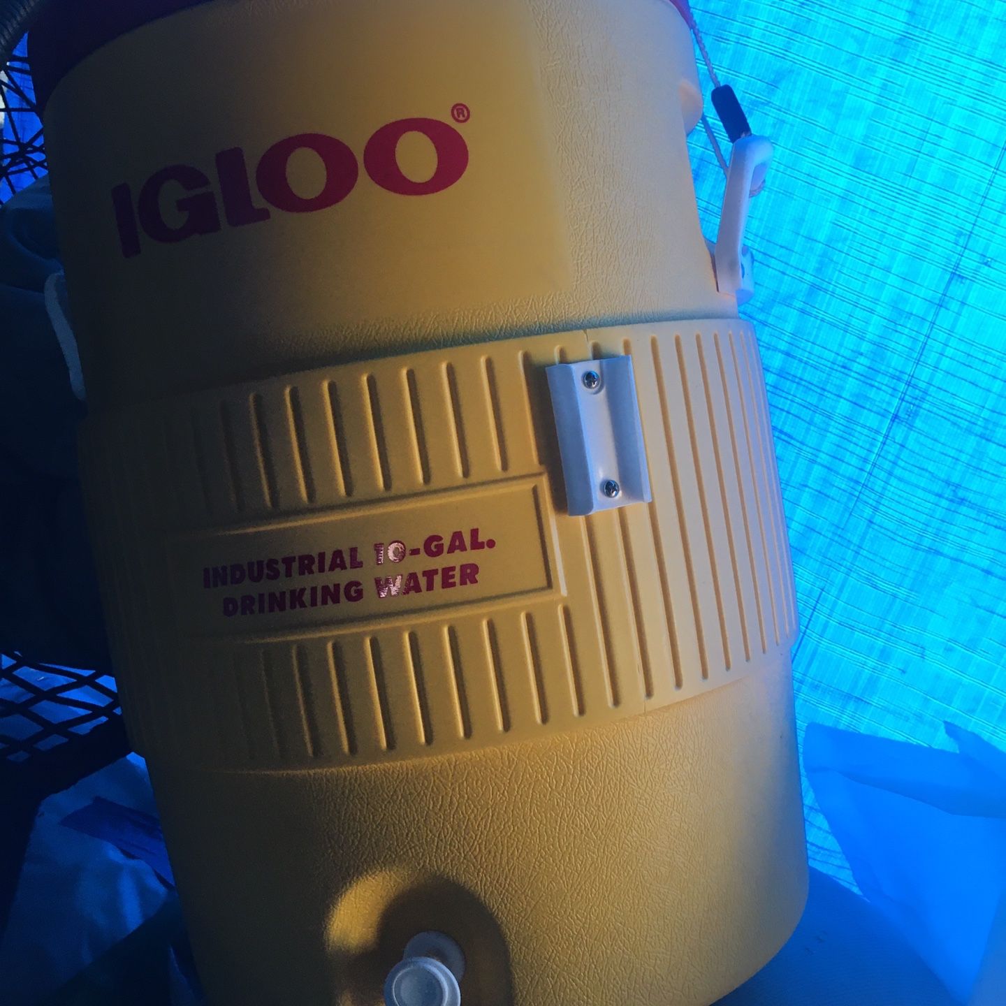 10 Gal