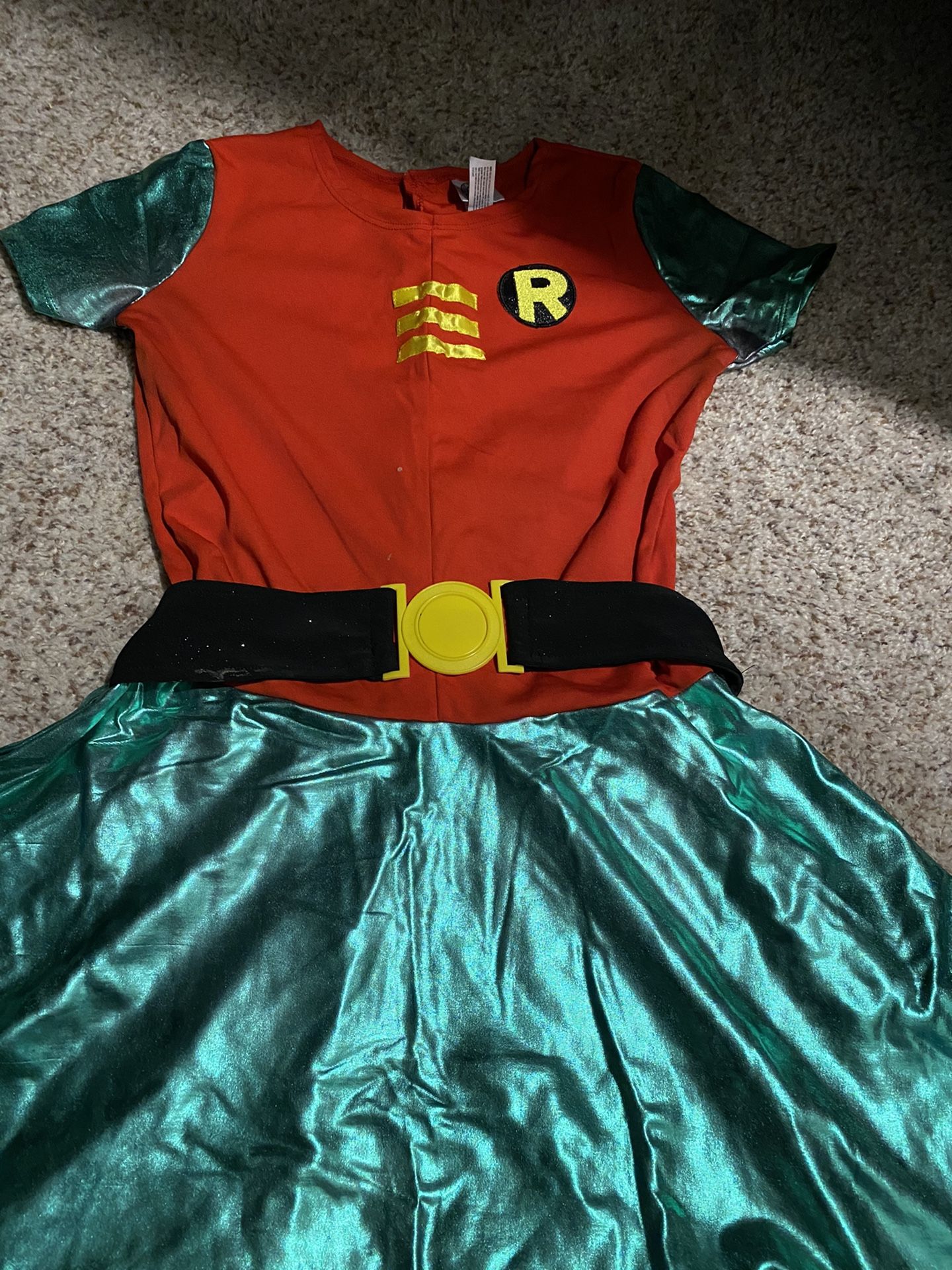 Girl Robin Costume