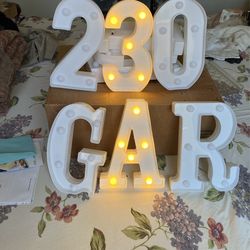 Lighted Numbers And Lester’s Plastic Need 2 Batteries Not Include Various Choice $ 5 Each