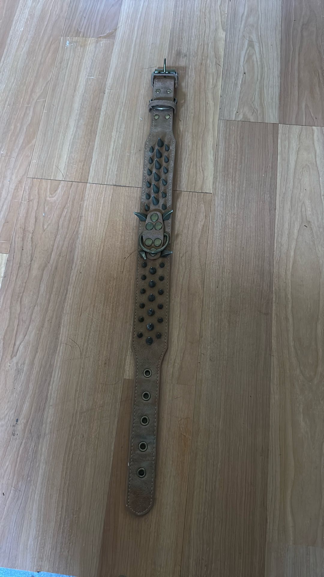 Dog Collar Spiked