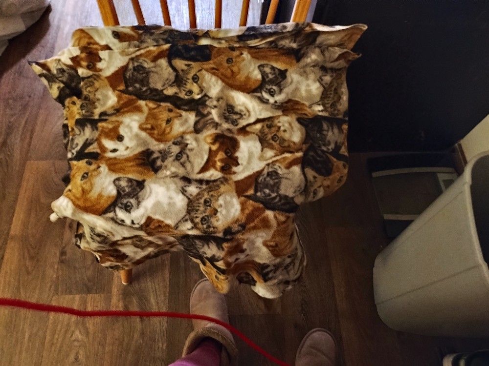 Cat Blanket