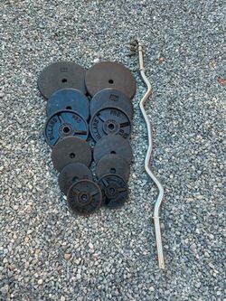 Curl Barbell and Weight