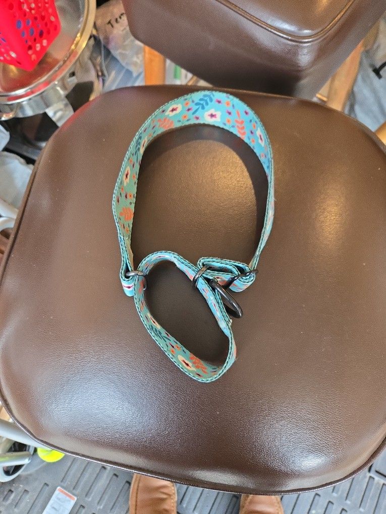 Dog Collar