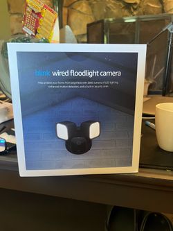 Blink outdoor light & camera