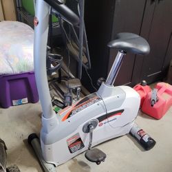Schiwn 120 Exercise Bike