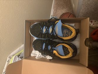 Lebron Basketball Shoes