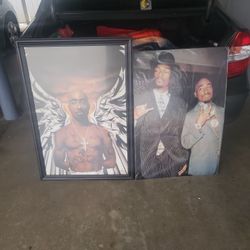 Tucpack Pictures  27×39  