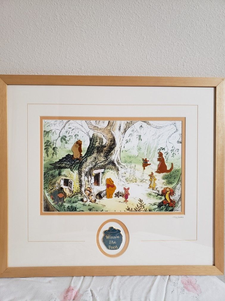 Disney Framed Pin Set