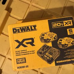 DEWALT 20-V 2-Pack  Battery and Charger (5 Ah)