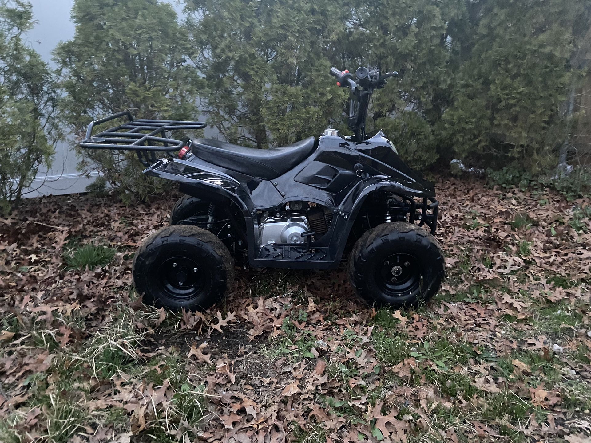 Tao Tao 110cc Quad/atv