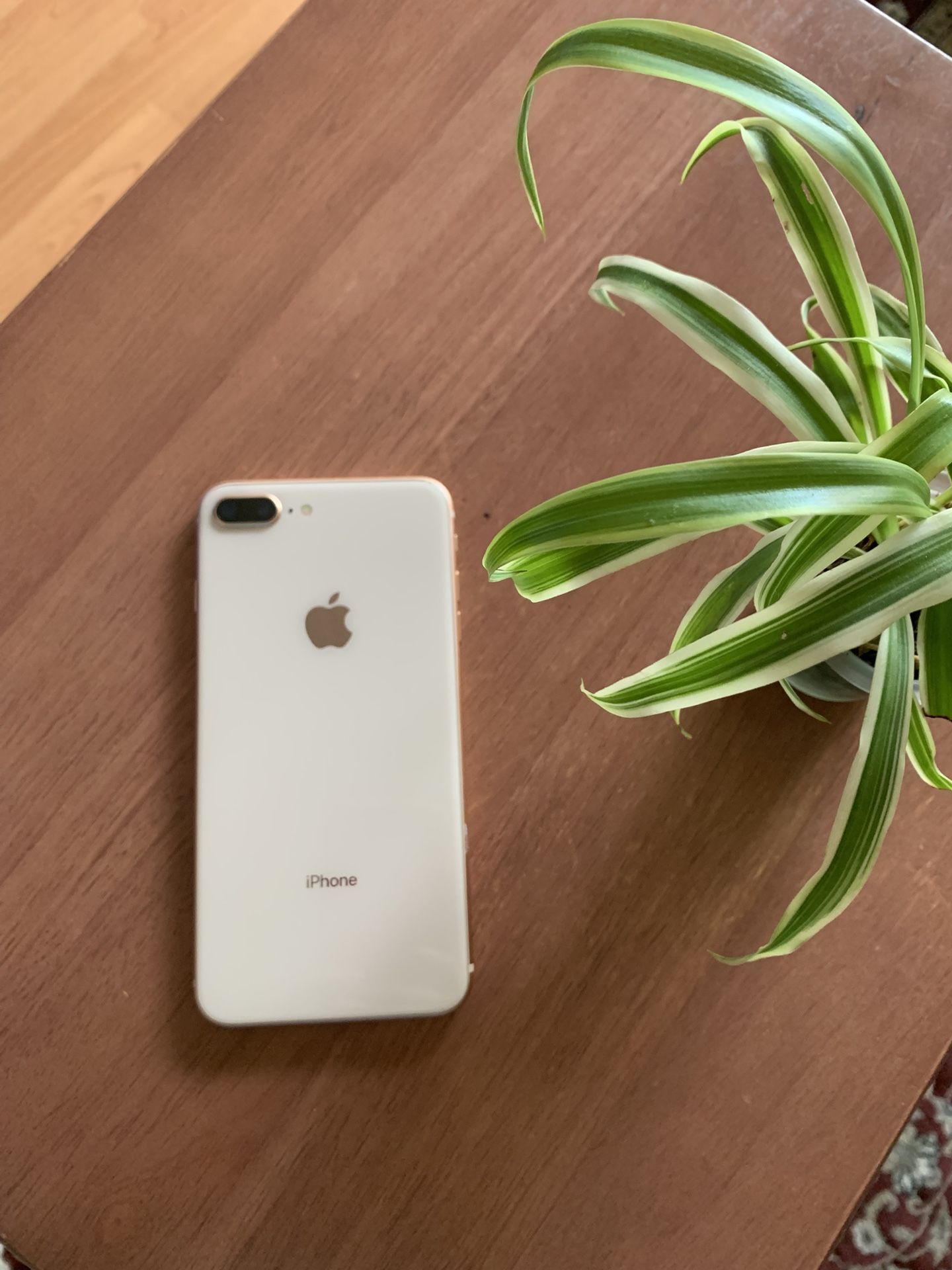 iPhone 8 Plus ( Unlocked) 64gb Rose Gold