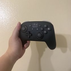 Nintendo Switch 2 Pro Controller