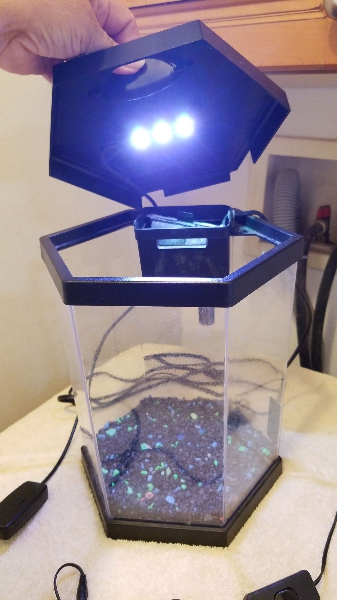 Little fish tank, 11" tall, Filter , LID, With top, And lights, Gravel or rocks