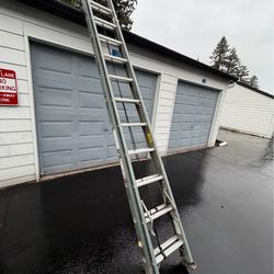Ridgid ladder