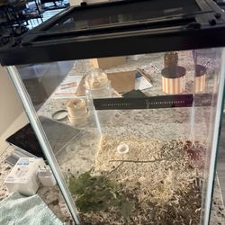 🦎 Reptile Terrarium w/ Screen Lid – $50