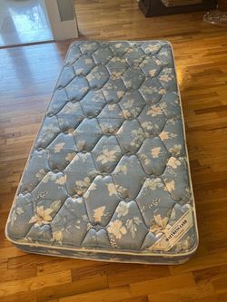 2 FREE twin mattresses