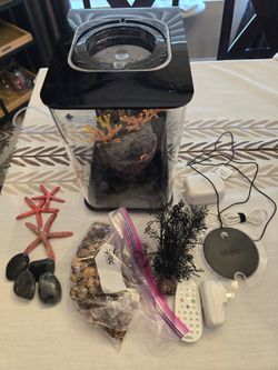 Biorb Flow 15 aquarium