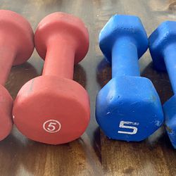 5lb Dumbbell Weights