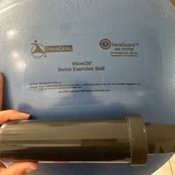 TheraGear Swiss Exercise Ball