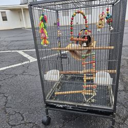 Bird Cage